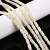 Natural White African Opal Beads Strands G-N346-01A-10-1