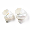 Natural Spiral Shell Beads SSHEL-N034-126-5