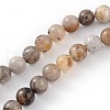 Natural Bamboo Leaf Agate Round Bead Strands G-M248-8mm-04-1