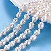 Natural Keshi Pearl Beads Strands PEAR-S020-F03-1