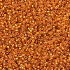 MIYUKI Delica Beads SEED-J020-DB0681-3