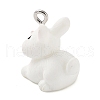 Opaque Resin Pendants RESI-Z014-01I-2