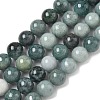 Natural Myanmar Jadeite Beads Strands G-B099-C06-04-1