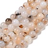Natural Dendritic Agate Beads Strands G-A248-A07-05-2