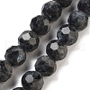 Natural Larvikite Beads Strands G-C150-B06-02-2