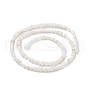 125Pcs Natural Freshwater Shell Beads SHEL-B002-01F-1