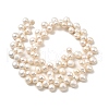 Natural Cultured Freshwater Pearl Beads Strands PEAR-I007-03F-01-3