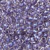 6/0 Transparent Colours Glass Seed Beads SEED-P006-01A-14-3