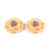Resin Decoden Cabochons CRES-T025-04B-1