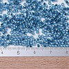 MIYUKI Delica Beads Small X-SEED-J020-DBS0149-4