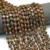 Natural Starburst Jasper Beads Strands G-C116-A40-02-1
