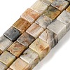Natural Crazy Lace Agate Beads Strands G-Q1008-B11-1