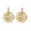 Brass Cubic Zirconia Pendants KK-E068-VA099-2-2