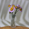 Transparent Miniature Glass Vase Bottles BOTT-PW0006-04G-1