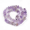 Natural Amethyst Beads Strands G-N347-09A-05-3