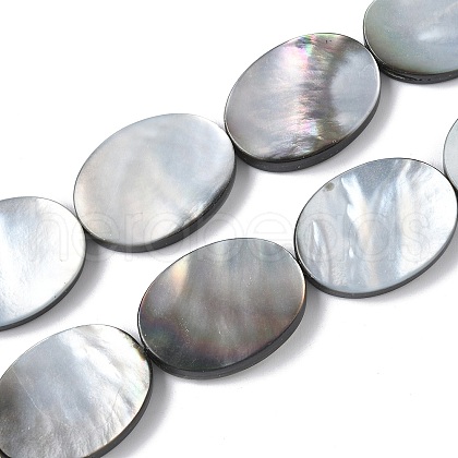 Natural Black Lip Shell Beads Strands BSHE-D300-02-18x25mm-1