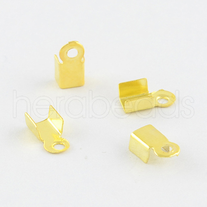 Iron Cord Ends E029-G-1