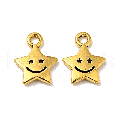 Alloy Charms FIND-C010-01G-1