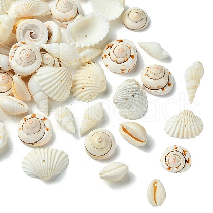 48Pcs 4 Styles Natural Shell Beads BSHE-YW0001-06-1