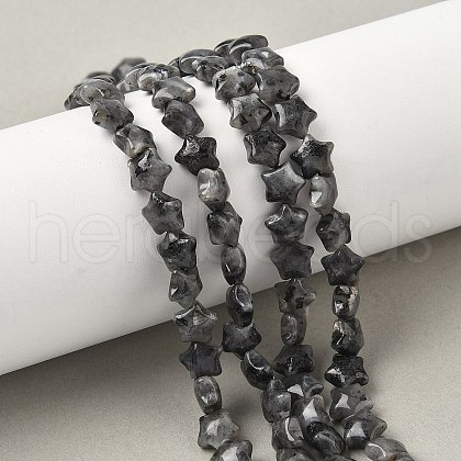 Natural Larvikite Star Beads Strands G-Z080-A03-1