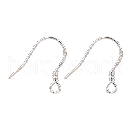 925 Sterling Silver Earring Hooks STER-P032-03S-1
