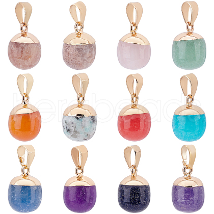 Olycraft 12Pcs 12 Style Top Golden Plated Mixed Gemstone Pendants G-OC0003-16-1