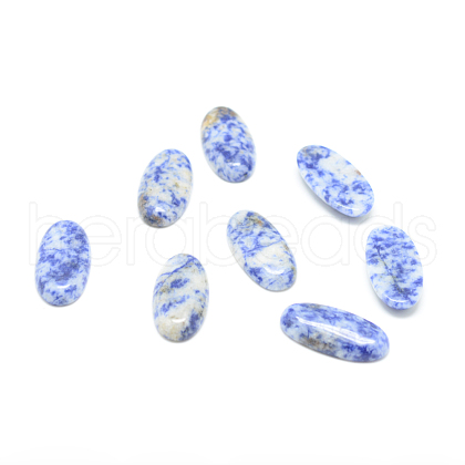 Natural Blue Spot Jasper Cabochons G-T023-15x30-02-1