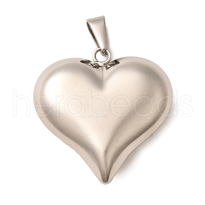 304 Stainless Steel Pendants STAS-R229-04A-P-1