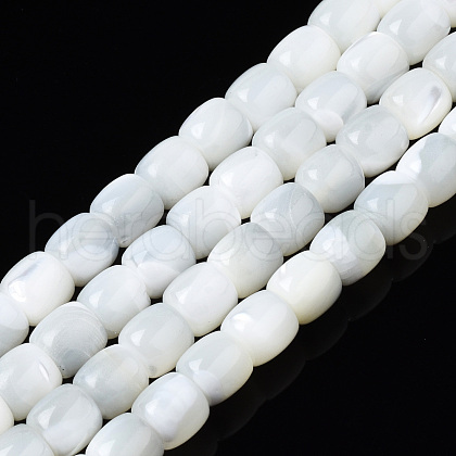 Natural Trochid Shell/Trochus Shell Beads Strands SSHEL-N034-121-B01-1