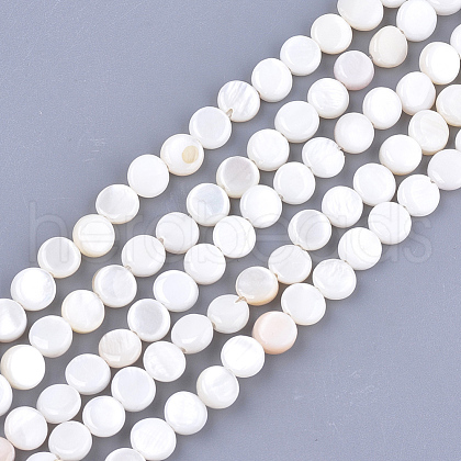 Freshwater Shell Beads Strands X-SHEL-S276-15B-1