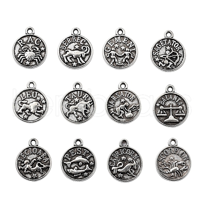 Tibetan Style Alloy Charms TIBE-YW0001-17AS-LF-1