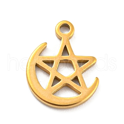 304 Stainless Steel Charms STAS-Q306-01G-F-1