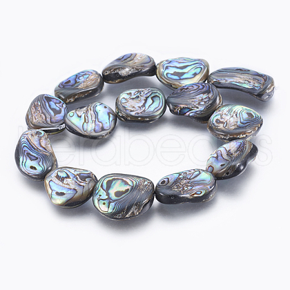Natural Abalone Shell/Paua Shell Beads Strands SSHEL-P014-04-1