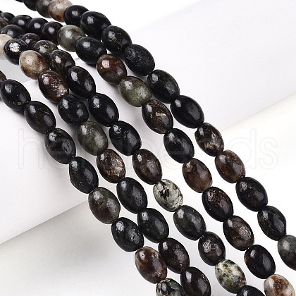 Natural Biotite Beads Strands G-N346-02B-02-1