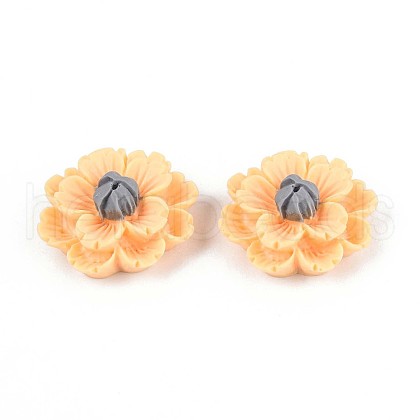 Resin Decoden Cabochons CRES-T025-04B-1