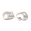 Non-Tarnish 304 Stainless Steel Charms STAS-A070-30P-2