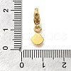 304 Stainless Steel Pendant Decorations STAS-R159-43G-02-3