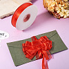 Nylon Ribbons OCOR-TAC0023-11D-16