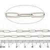 304 Stainless Steel Paperclip Chains STAS-F260-04P-3
