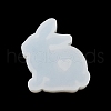 Rabbit Display Decoration DIY Silhouette Silicone Molds SIMO-H143-01-4