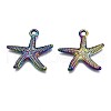 Alloy Pendants PALLOY-N163-030-NR-2