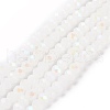Electroplate Glass Beads Strands EGLA-A044-J8mm-L05-1