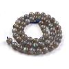 Grade AA Natural Gemstone Labradorite Round Beads Strands G-E251-33-8mm-5