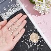  2 Strands Natural Freshwater Shell Beads Strands BSHE-NB0001-12-3