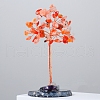 Natural Carnelian Chips Tree of Life Decorations PW-WG54461-05-1