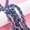 Natural Lapis Lazuli Beads Strands G-K311-01A-01-1