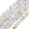 Natural Blue Lace Agate Beads Strands G-NH0001-C02-01-2