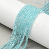 Natural Amazonite Beads Strands G-F509-25-2mm-7