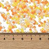 Baking Paint Glass Seed Beads SEED-P006-03A-22-4