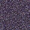 MIYUKI Delica Beads SEED-X0054-DB1244-3